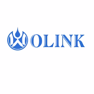 Huizhou Olink Technology Co., Ltd. (Olink New Energy Technology) - Huizhou, Guangdong, China